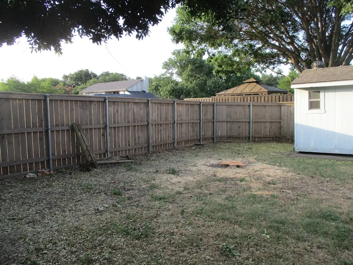 Cleared yard after professional tree removal in New Carlisle